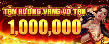 0731-VN4 promotional banner